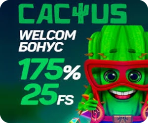 Бонус в сайдбаре